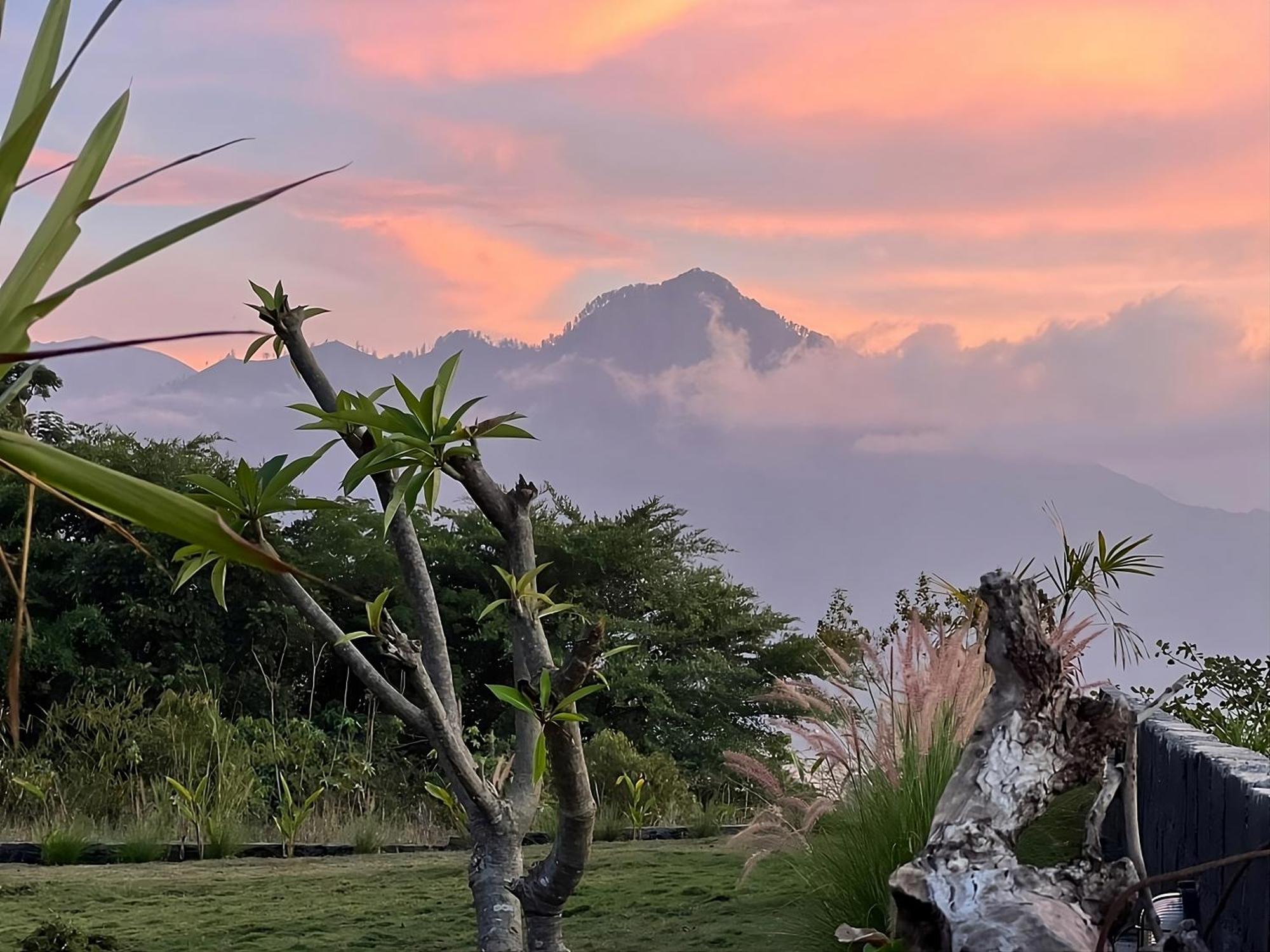 Hillside Bali Bed & Breakfast Kubupenlokan Екстериор снимка