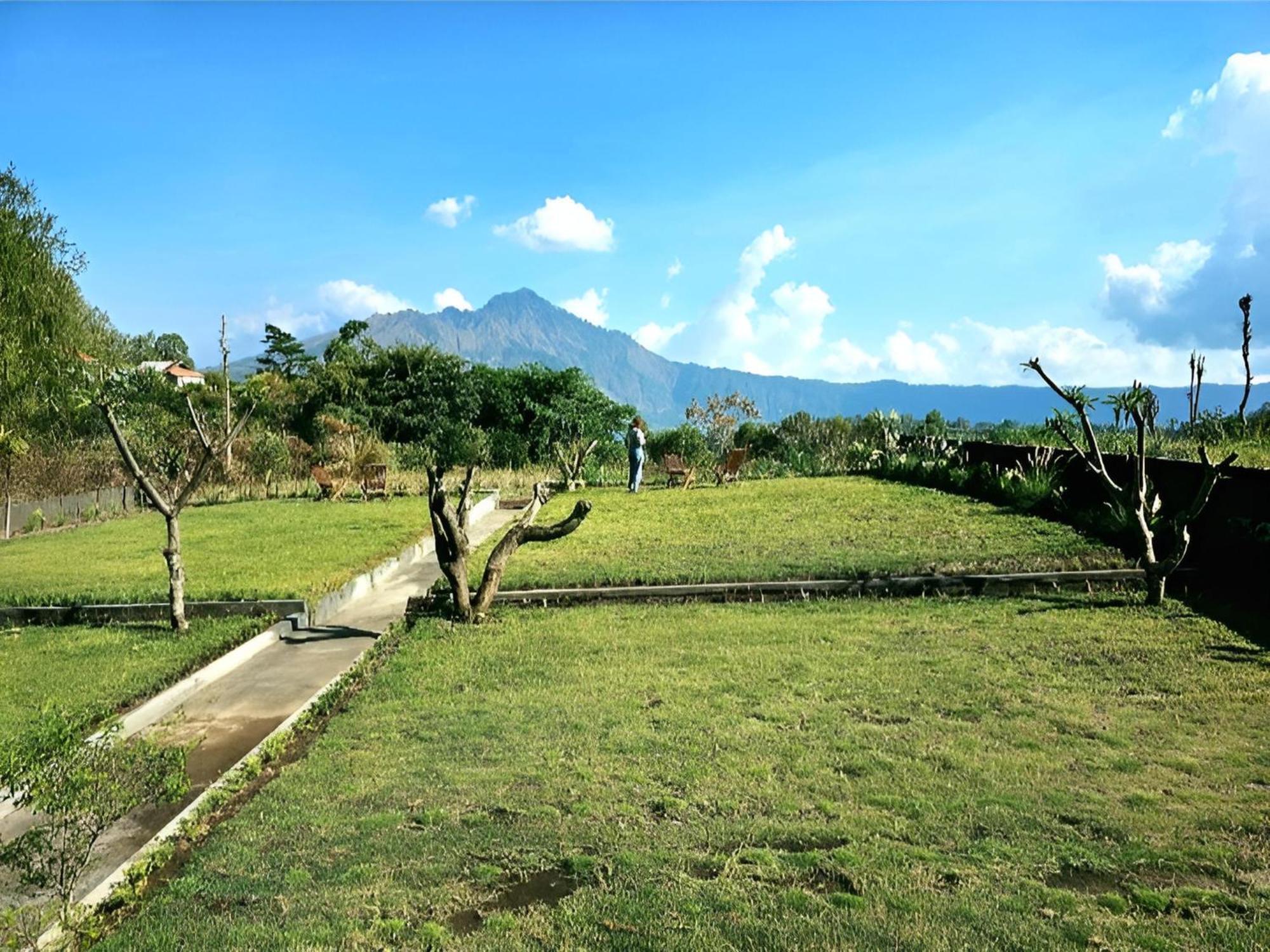 Hillside Bali Bed & Breakfast Kubupenlokan Екстериор снимка