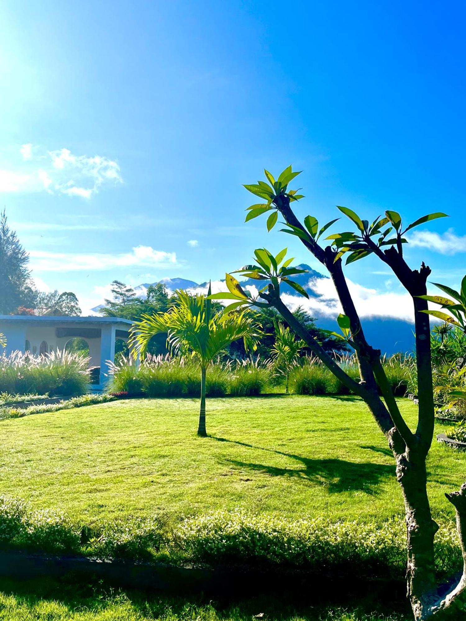 Hillside Bali Bed & Breakfast Kubupenlokan Екстериор снимка